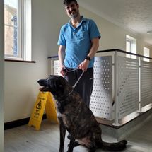 man in stairwell with dog sitting